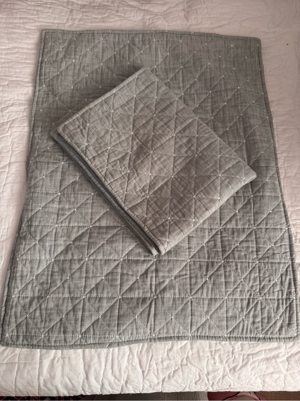 Rachel Zoe standard shams, set of two, like new sage green